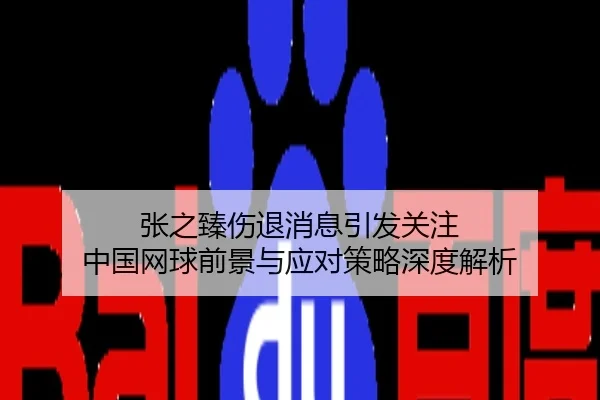 张之臻伤退消息引发关注 中国网球前景与应对策略深度解析
